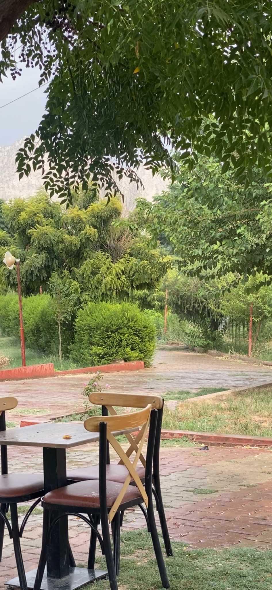ساتێک لە کافێی فەرەنجی